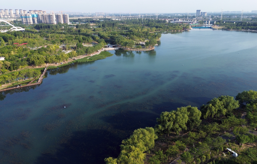 Київське водосховище