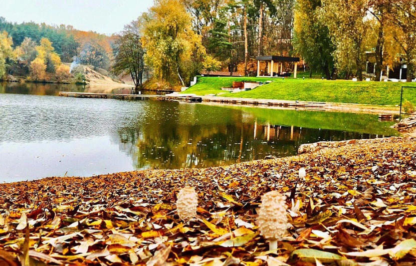 Київщина 5 платних ставків із фореллюкоропом (осінь)