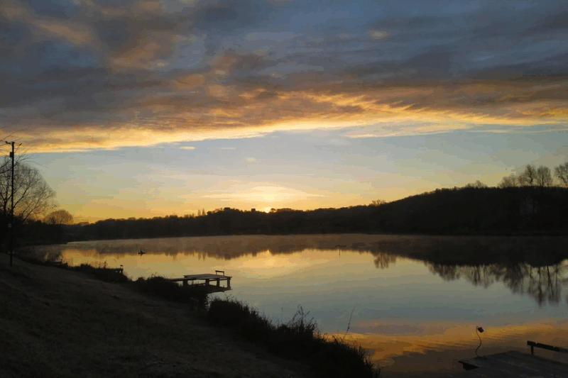 ЛьвівщинаТернопільщина платні форелеві й коропові водойми