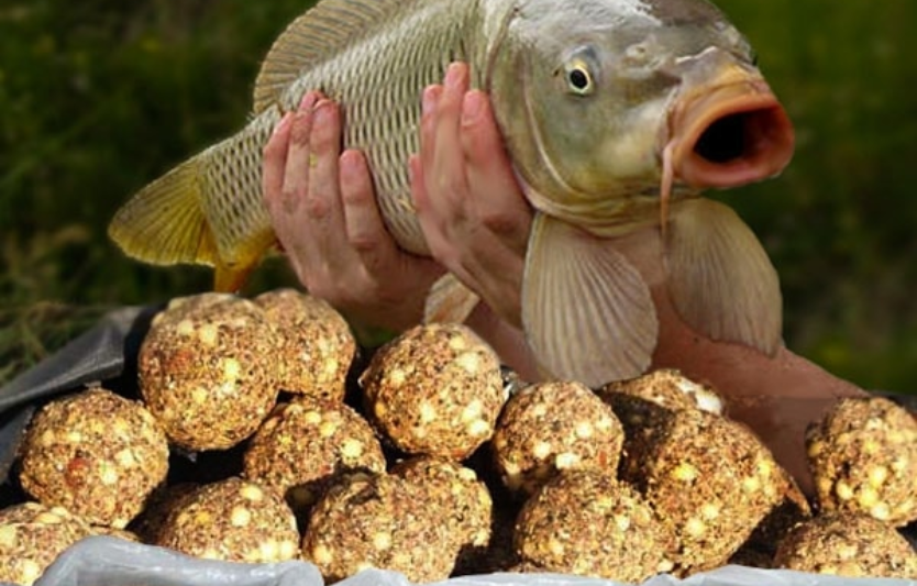 Домашній прикорм для ляща — 3 рецепти з підручних інгредієнтів