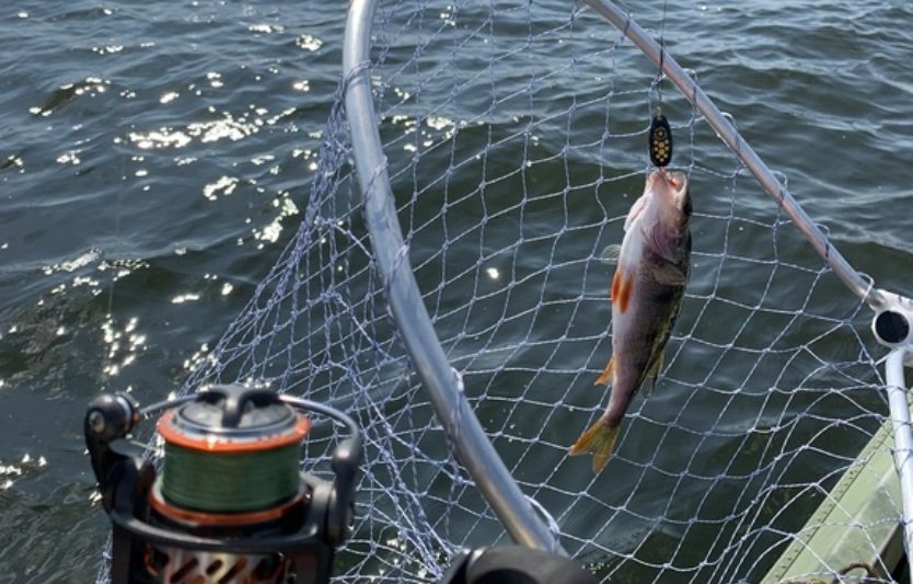 Карпфішинг у Херсонській області водойми, відгуки, ціни