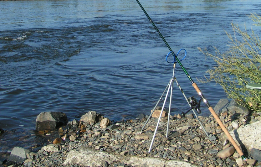 Як обрати правильне місце для ловлі коропа восени