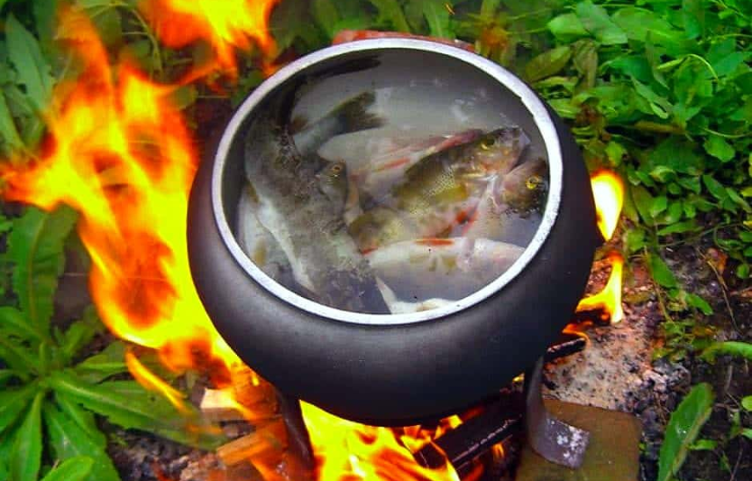 Як приготувати юшку з коропа на вогнищі