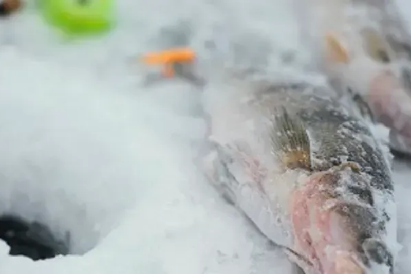 Як правильно підготуватися до першої зимової рибалки чек-лист для новачків