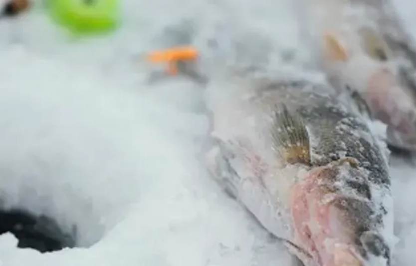 Як правильно підготуватися до першої зимової рибалки чек-лист для новачків