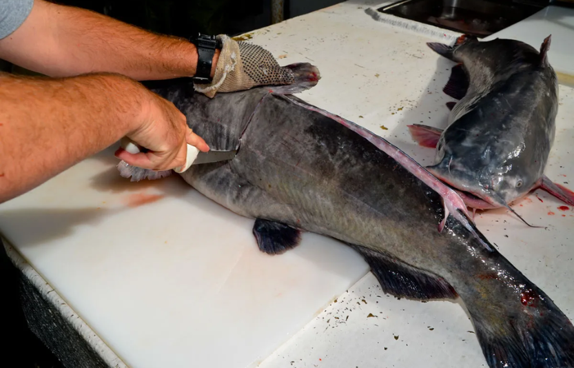 Як правильно чистити сома