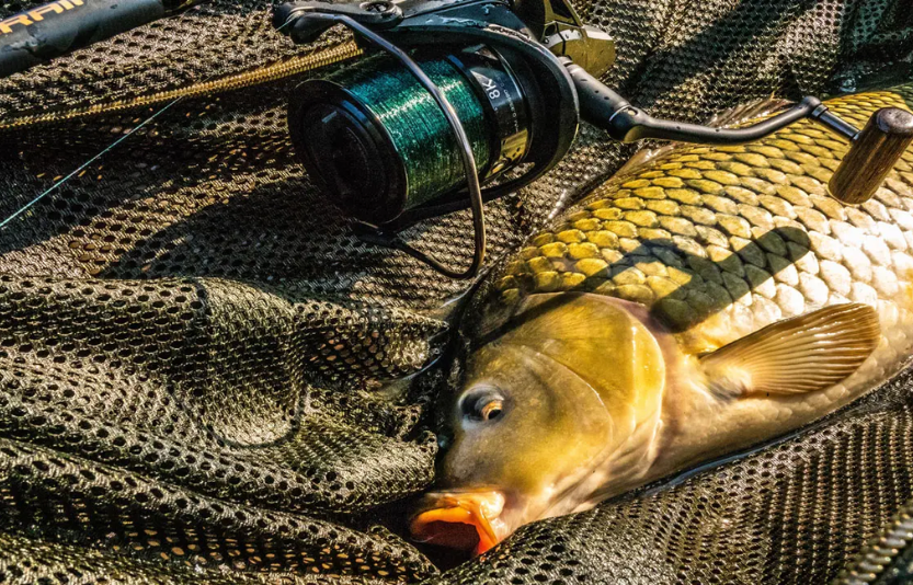 Карпфішинг