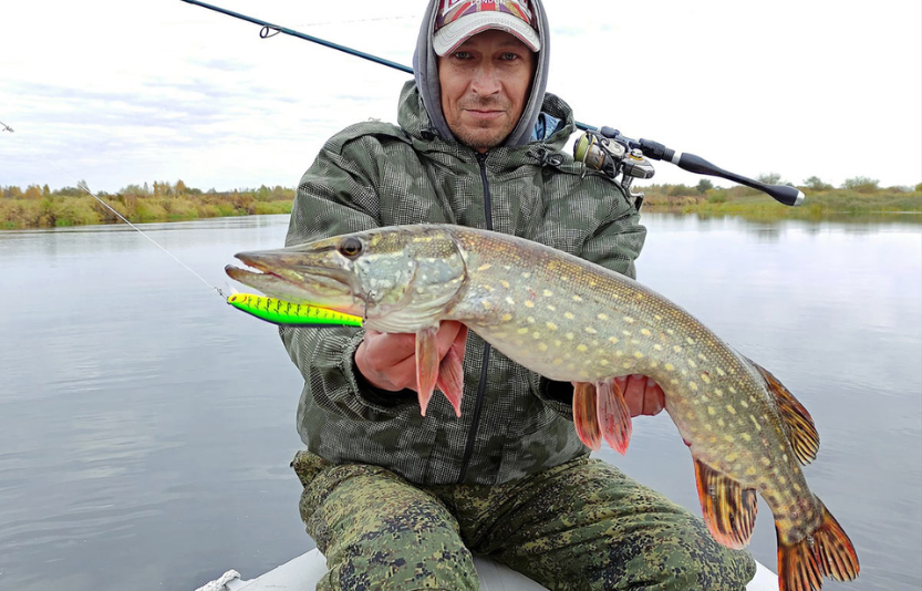 Щука та твічинг